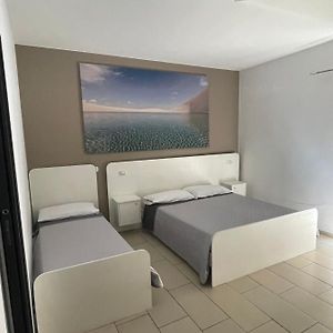 Triple Room Garden View
