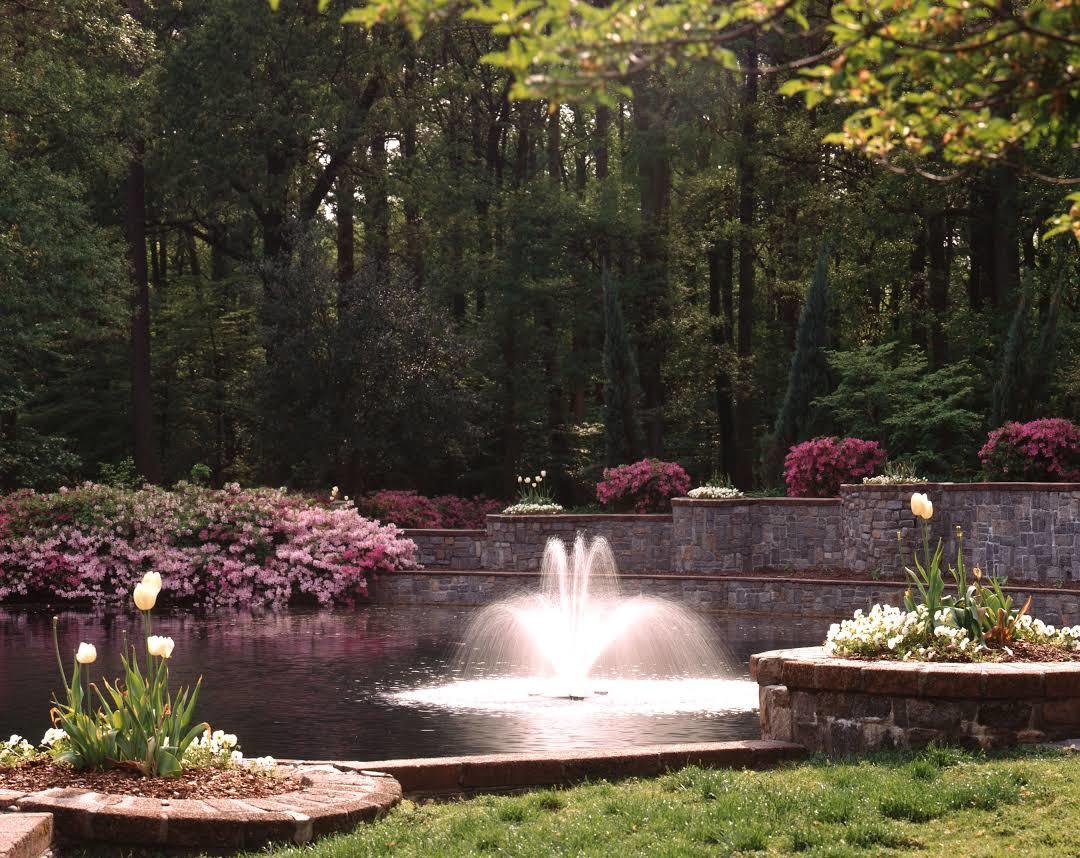 Botanische tuin Norfolk