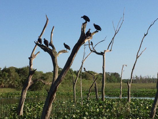 Greenwood Urban Wetlands