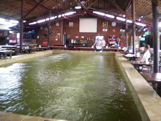 Bor Kung Restaurant Ratchada Soi 8