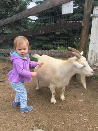 Hoof Prints Barnyard Petting Zoo & Goga Venue