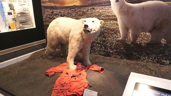 Zoologisches Museum Hamburg