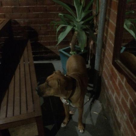 Biff's Bar and Grill