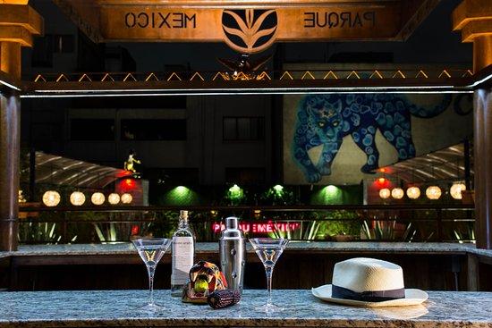 Terraza Parque Mexico