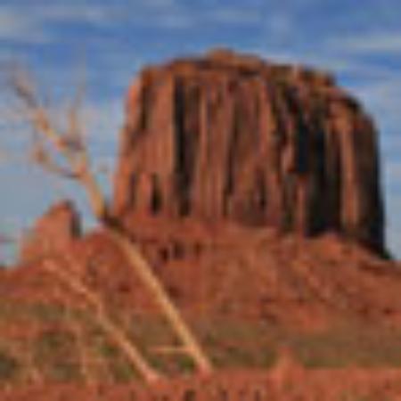 Mumbai Junction Indian Restaurant