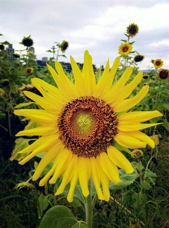 Rainbow Riverside Park