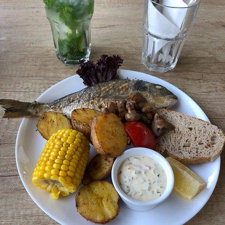 Ot Zakata Do Rassveta