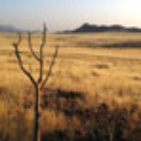 Deewakar Misthan Bhander