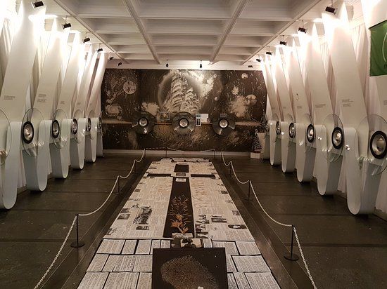 Mykola Syadristy Mikro Minyatür Müzesi