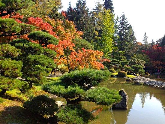 Washington Park Arboretum
