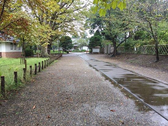 Sanrizuka Memorial Park