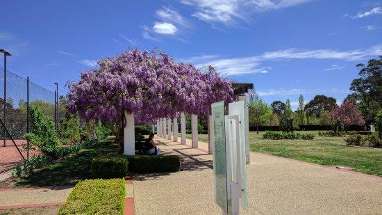 Old Parliament House Gardens