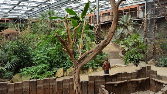 Papegaaienpark Veldhoven