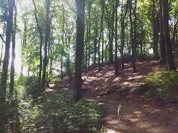 Dusselauen at Godinghoven