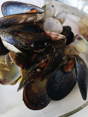 Da Noi Trattoria Pizzeria