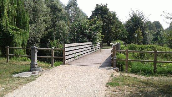 Oasi naturale faunistica le risorgive