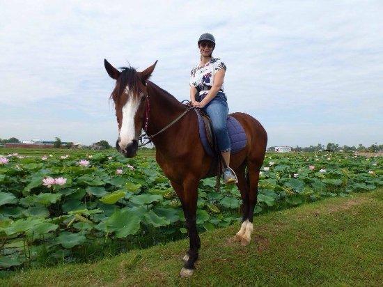 The Happy Ranch Horse Farm