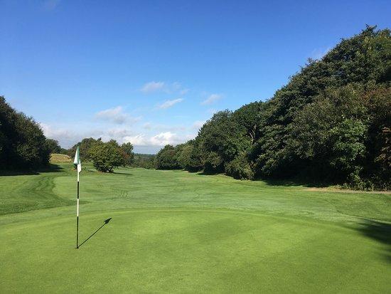Tall Pines Golf Club