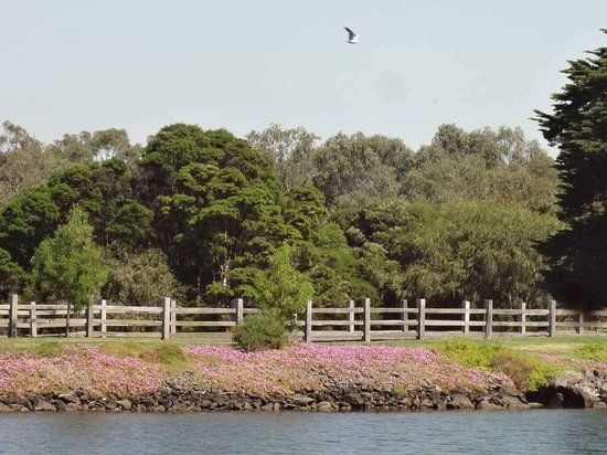 Newells Paddock Wetlands