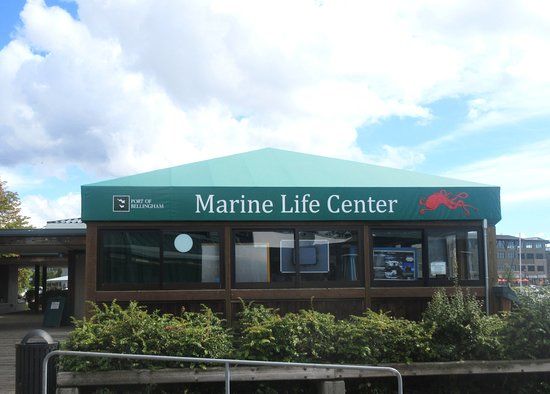 Marine Life Center