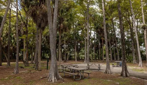 John D Easterlin Park