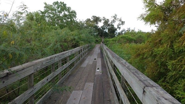 Bayou Sauvage NWR Ridge Trail & Boardwalk