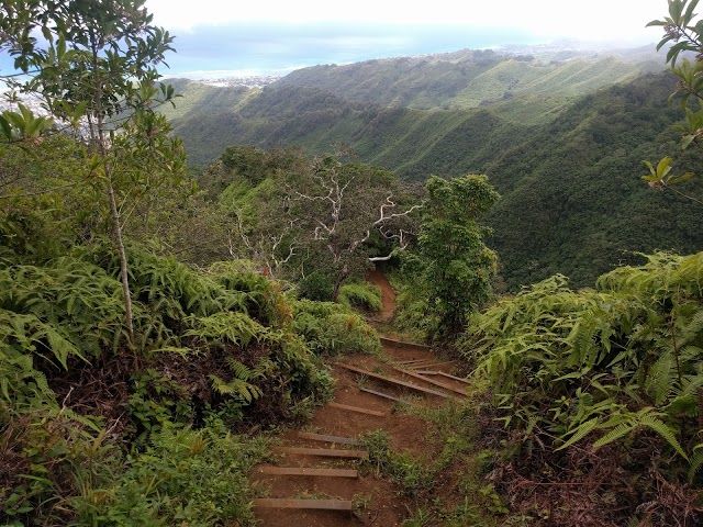 Kuli'ou'ou Ridge Trail