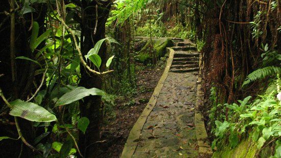 Sendero Ecoturístico