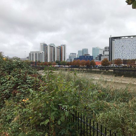 Bow Creek Ecology Park
