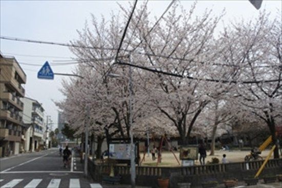 Sugawarakita Park