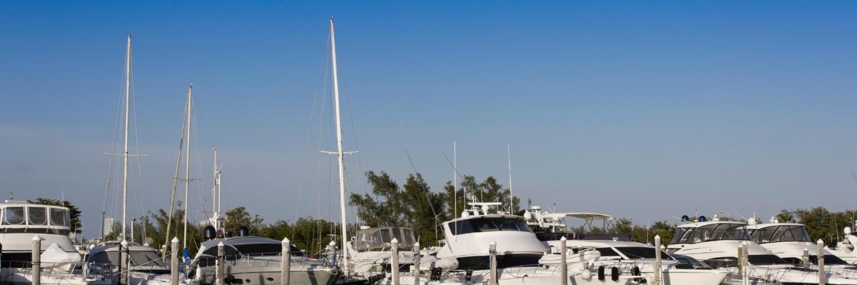 American Offshore Marina