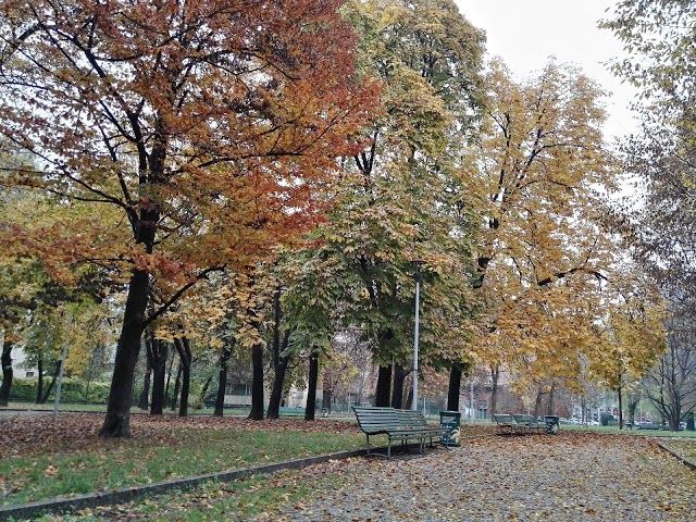 Parco Solari