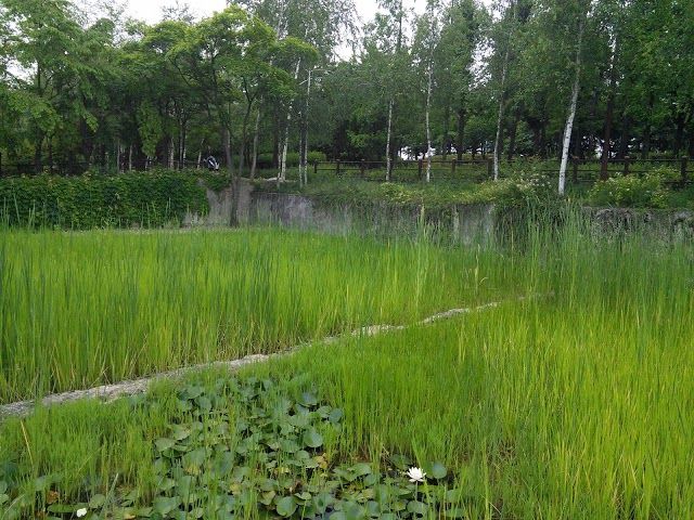 Seonyudo Hangang Park