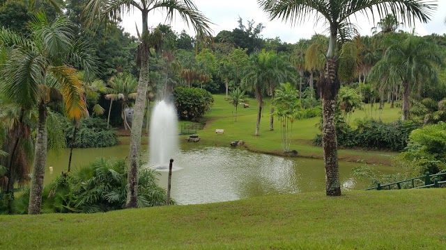 Jardin Botanico de Rio Piedras Para la Naturaleza