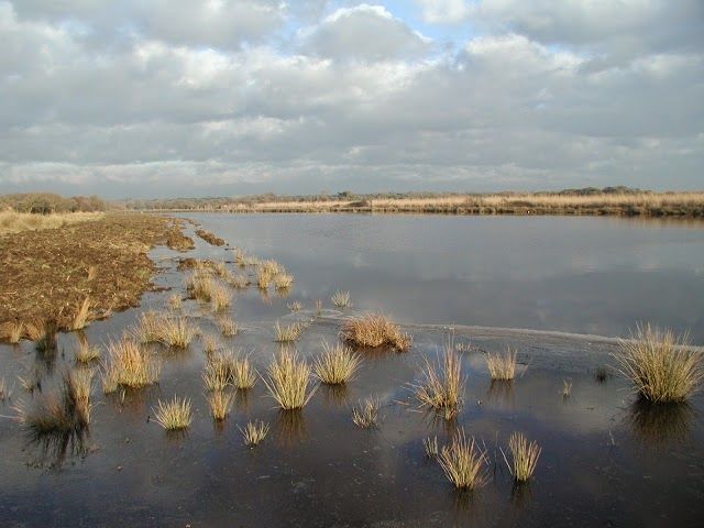 Natural Park Migliarino San Rossore