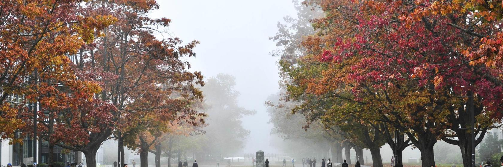 University of British Columbia