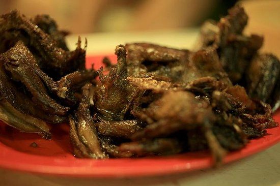 Terang Bulan