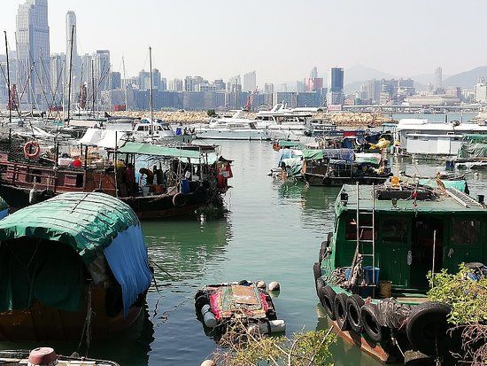 Causeway Bay Typhoon Shelter