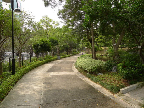 Sha Tin Park