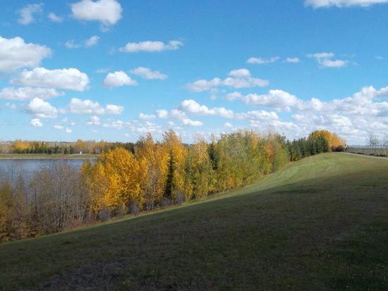 Elliston Park