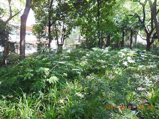 Huashan Children's Park