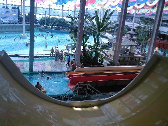 Tulip Merry Waterworld