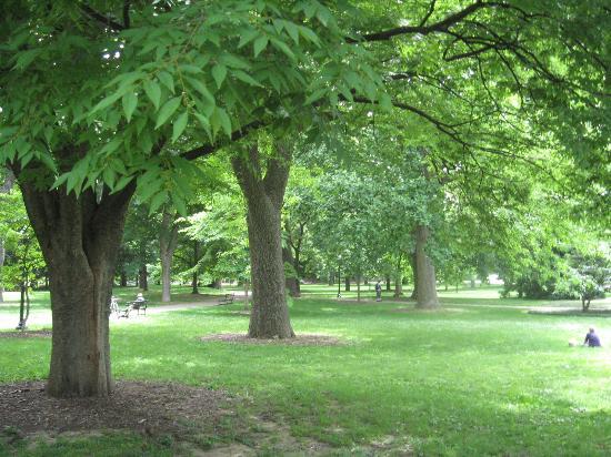 Central Park