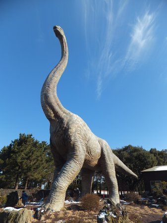 Jeju Dinosaur Land