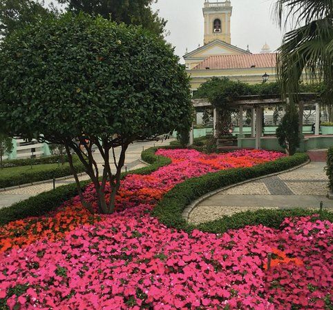 Carmel Garden