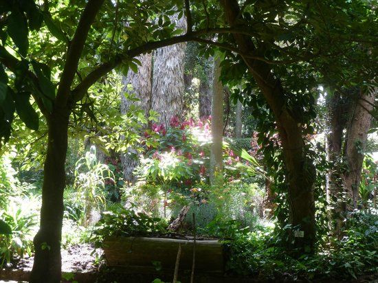 Botanico, Guatemala Garden