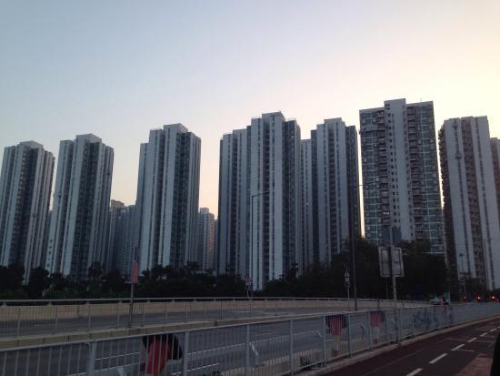 Fortune City One Market