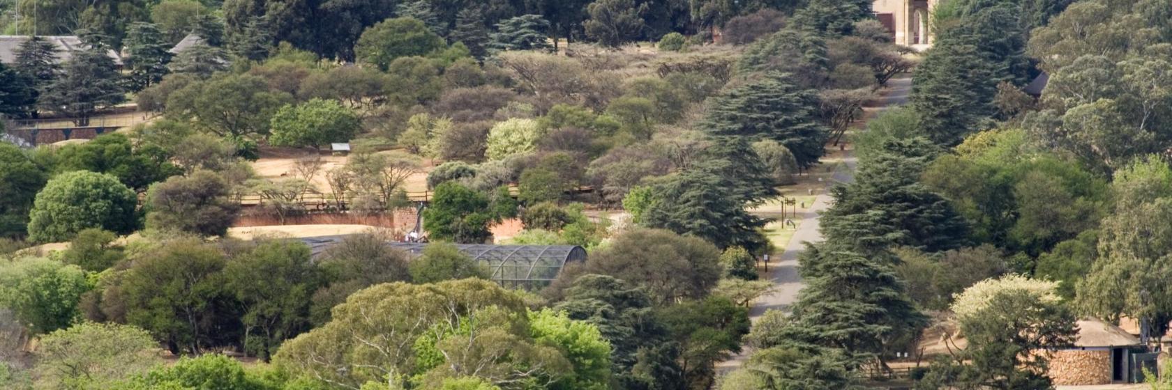 Zoo de Johannesbourg