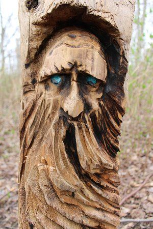 South Arm Marshes Wildlife Management Area