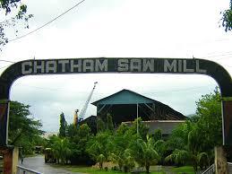 Chatham Island
